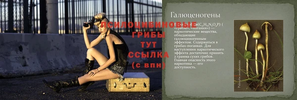 ПСИЛОЦИБИНОВЫЕ ГРИБЫ Волосово