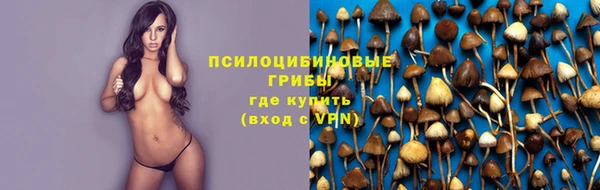 ПСИЛОЦИБИНОВЫЕ ГРИБЫ Волосово