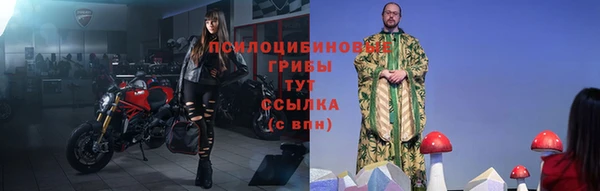 ПСИЛОЦИБИНОВЫЕ ГРИБЫ Волосово