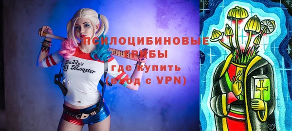 ПСИЛОЦИБИНОВЫЕ ГРИБЫ Волосово