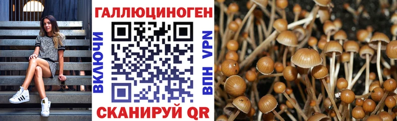 Галлюциногенные грибы Psilocybine cubensis  продажа наркотиков  blacksprut как зайти  Прохладный 